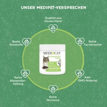 MediCat Ulmenrinde Paste 4 MediCat Ulmenrinde Paste – Bild 2