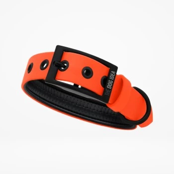 THE DOG IDEA Biothane Halsband Orange Neon Orange M 3 THE DOG IDEA Biothane Halsband Orange Neon Orange M