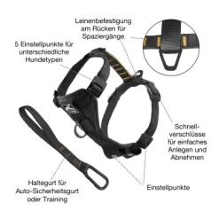 Kurgo Tru-Fit Smart Hundegeschirr XS -Zoofachgeschäft 3970cc263b6473033c48f86fdd7dcdbf35a19a75 1481169 de DE a105f50113c253bb43a1032dac8b73077729546f04ESxp