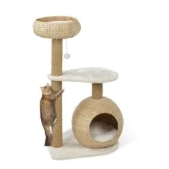 AniOne Kratzbaum Saki -Zoofachgeschäft 3ca3b648185a373e229005df7555083cfb5743b6 0675754154c521b141097c888178be1dbd0158d0