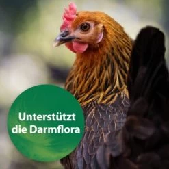 Quiko Spirulina 250 G -Zoofachgeschäft 3d52ae2cda3a93dbbb171e59599a6c0a27f2e3c3 1387640 de DE 67c9513295fdd7c15a86037e0ffd1fd47159d67cAGelHa