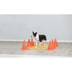 Trixie Dog Activity Hindernisse Ø23x30cm -Zoofachgeschäft 3deac15f582ad479ed22e5c84e054ac5f037fdc8 1287032 de DE Trixie Hindernisse wb 2