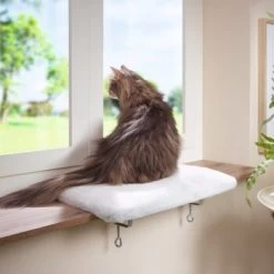 AniOne Fensterliegeplatz -Zoofachgeschäft 3ed1f86bcd38eea7f6bb469869d0ceabbf14e73e 08d7fb7b3ea8513f40155b969787349e3e9059aa