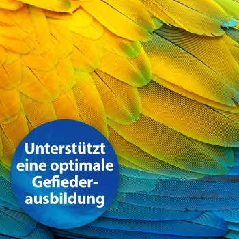 Quiko Biotin M 150 G: Unterstützt Die Mauser Von Ziervögeln 4 Quiko Biotin M 150 G: Unterstützt Die Mauser Von Ziervögeln – Bild 2