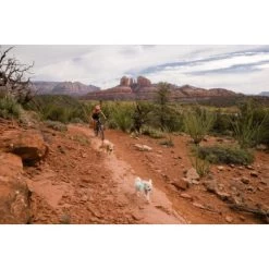 Ruffwear Swamp Cooler Zip™ Kühlweste Für Hunde Pink XL -Zoofachgeschäft 3f53abbb449b533ae19bdcc983422a810c1a6523 1639652 de DE 69e04235fc73e7ad617b0a7c576e77147e0d0f9aiqnSME