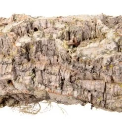 HappyBird Sitzstange Natur Kork L -Zoofachgeschäft 4219bfe3ca891eef1cb492a7d523955c5a87acdb 1416844 de DE 36da01729119466b9455d5ee60fee4c9e37394097Q8Hd8