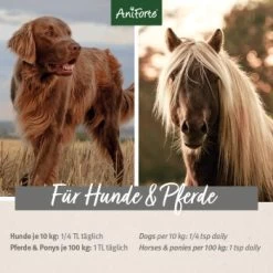 Aniforte Bio Ägyptisches Schwarzkümmelöl 500ml -Zoofachgeschäft 4258016ff96e6eaff4a590bc2850e571352c6a4d 1480469 de DE 17f309b4e6d8fb85e8cb8f3f497f25cae50c097f6a4PXZ