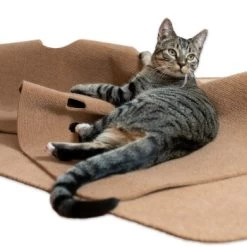 Canadian Cat Company Spielteppich Für Katzen Braun -Zoofachgeschäft 446d45749f5e58cb5a7dbc00eb3558dbe40784fe 1394213 de DE 80770b9625226d955903498b97e7018485822aeeDB3L2u