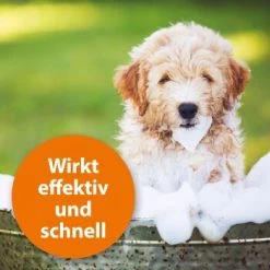 Ardap Anti Zecken Shampoo Für Hunde 250ml -Zoofachgeschäft 45234aab493187b4f025c9c1611ba91401852a61 1289723 de DE 011c29b51870fd299b578444e9341eb4fefc30b304XMpl
