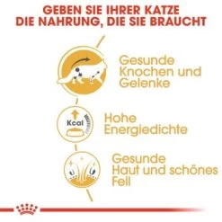 ROYAL CANIN Maine Coon 12x85g -Zoofachgeschäft 45de5de28bb0cf1702840672ec10e019d1069826 1229815 de DE rc 3