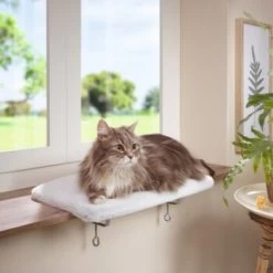 AniOne Fensterliegeplatz -Zoofachgeschäft 48b4c875f72788d493de559eab0e5688d72d5fb7 b558c550dc7f6e4c2f13fbb0d43c30b225535e90