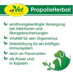 CdVet PropolisHerbal 20g 20 G 7 CdVet PropolisHerbal 20g 20 G -Zoofachgeschäft 4a7efe6ef39282013962edb4cdfff7ab064f50b7 1410702 de DE 9b563d2bb5da29720c09af2146e96e196b550558zVf5j7