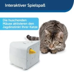 PetSafe Automatisches Katzenspielzeug Cheese -Zoofachgeschäft 4bf213762b84458348ad4dde222bccd0d8e6f0a8 1418723 de DE 66b781419c3a9a05dbaecf1b142c67f8ea6f21fbRLCfdd