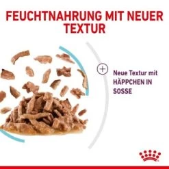 ROYAL CANIN SENSORY Feel In Soße Für Wählerische Katzen 12x85g -Zoofachgeschäft 4d93715bc5a9692f88cd6cacd114ce790b7d5c94 27a1bcd0d7577e59068b36e49f089111bfb1eb06