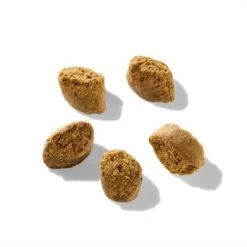 Fred & Felia FRED Wild 750 G -Zoofachgeschäft 4dd8f4ebb92acfa292a1e95472084fe1f4273d14 1422085 de DE 52c2cfee8b65fab924f2ce176379580360c84800ysmKUT