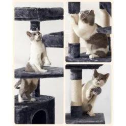 FEANDREA Katzenbaum 142cm Hellgrau Dunkelgrau -Zoofachgeschäft 5071281c5c78d6bb9462bee7f019c08f31cc23a6 1483569 de DE c7b97977490699e7b523c9b7a192ab5b0704d433CGxWn2