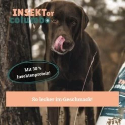 BeG Buddy Trockenfutter Insekten, Hypoallergenes Insektenfutter - Sensitive 4 Kg -Zoofachgeschäft 54e01906aa9de056ad2a9574a1c4270899f1b9f0 1457248 de DE a7b2e0a08ffde87f19ce4820500c56d453115ca7vC1c1K