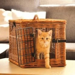 Aumüller Katzenhöhle Eckig 10 Aumüller Katzenhöhle Eckig -Zoofachgeschäft 55450489d235d9ce83ff96cc8b4e3c05d5f9850a a4c4ea7cad20b9a0abc8b1ae89e0fbac9d4fe21f