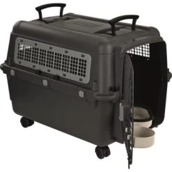 AniOne Transportbox M