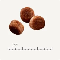 SELECT GOLD Sensitive Digestion Adult Geflügel Und Reis 2,5 Kg -Zoofachgeschäft 571cc49e96eaa29d93cdb9496136ed90f38f0ce7 1243347 de DE 6