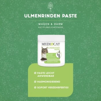 MediCat Ulmenrinde Paste 6 MediCat Ulmenrinde Paste – Bild 4