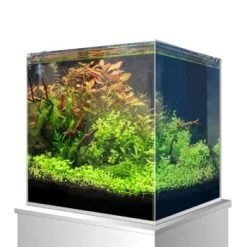 Amtra Nanoscaping Weisglassbecken 15 L -Zoofachgeschäft 58236b3cab086b84dd3cc2e4cf34565296c2c99b 8324f35622550151fdc74ef4d8f4c3f144a7a312