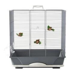 Savic Vogeltransportbox Primo 40 8 Savic Vogeltransportbox Primo 40 -Zoofachgeschäft 59e86ce78101f4832adb5f83b8ca56a73e62ea75 42fcb9947724a730039244485b4d3f07b4c79143