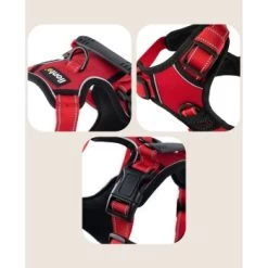 Lionto Hundegeschirr Rot S -Zoofachgeschäft 5a9c2faebeb4747b2afd82d7d5d5323e17e8bf1f 1505063 de DE 0cfb49c83d4fbb2e533c75bc4900c295939b50fcQFbqJQ