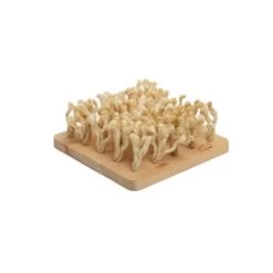 Bunny Schnüffelbrett