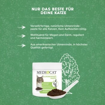 MediCat Ulmenrinde Paste 5 MediCat Ulmenrinde Paste – Bild 3