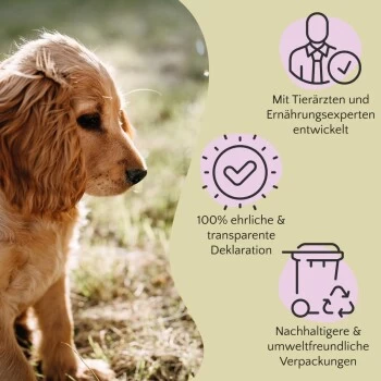 FAVLY Petfood PURE Bites Lamm 360 G 8 FAVLY Petfood PURE Bites Lamm 360 G – Bild 6