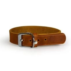 Das Lederband Halsband Weinheim Maroon 1,2 Cm, 27 Cm