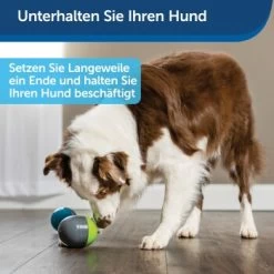 PetSafe Elektronisches Hundespielzeug Ricochet -Zoofachgeschäft 5eadda9b8e1c472d17e8160a968897c5f1589a26 1418724 de DE f0080b3bce77c44349e2b70b9453ceaf44e2d3d6nqnVTG
