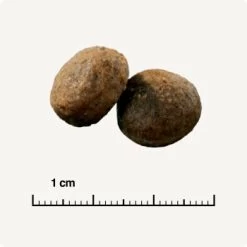 SELECT GOLD Sensitive Adult Maxi Lamm & Reis 4 Kg -Zoofachgeschäft 5ecaef2283d09cae98f0e7d2e361f17e4011fde6 1081889007 de DE 6