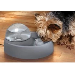 Numaxes Eyenimal Trinkbrunnen 1,5l 8 Numaxes Eyenimal Trinkbrunnen 1,5l -Zoofachgeschäft 612512ae3e55fd25731acfc2a0abcdc5bfeba8fb b7754bc2b320ccef10b70045a810474d6996a8cb