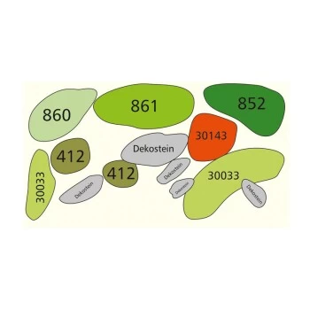 DENNERLE Wasserpflanzen-Set "60L Mix Start" 11 DENNERLE Wasserpflanzen-Set "60L Mix Start" – Bild 9