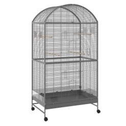 MORE FOR Voliere Darwin