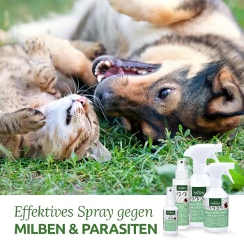 Aniforte Milben-STOP Spray Für Hunde Und Katzen 100 G 5 Aniforte Milben-STOP Spray Für Hunde Und Katzen 100 G – Bild 3