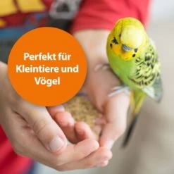 Ardap Milben- Und Zeckenspray Für Nager Und Vögel 100ml -Zoofachgeschäft 68a588b27c2bdeb958613c196e70f41522c1ca73 1352522 de DE 1626057c073e83595c48b5e38365b5bb10e0c4acyC8yCA