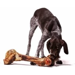 Irish Pure Giant Beef Bone -Zoofachgeschäft 6903e89fe19b581d968d870adfc6091e65defe6e 1288899 de DE 59b1dfc4bf54e712927d1b3836b3e67c045cd6ea9sucte