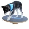 Altranet Fitpaws 20 Wobble Board -Zoofachgeschäft 6b3bbaeae3c0382f7bb151c1300fff960559718a 171bdc7d3481e8a87f6249b6e8ad5cc44472b295