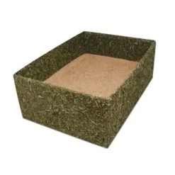 JR Farm "Back To Instinct" Buddel-Box