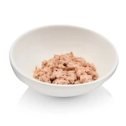 Canadian Cat Company Futterbar Cat Diner 15 Canadian Cat Company Futterbar Cat Diner -Zoofachgeschäft 7374ea0a9e3fe9347681d73e38cfddf88778c4d9 1345694 de DE 736a30d8934edf90c8b01e1b34a29dff5e81dab2o6VK2t