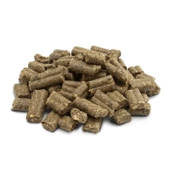 Versele-Laga Crispy Pellets - Maintenance Rabbits 25kg 4 Versele-Laga Crispy Pellets - Maintenance Rabbits 25kg – Bild 2