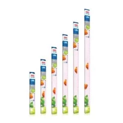 JUWEL Leuchtmittel LED Colour 43,8 Cm, 12 W -Zoofachgeschäft 75c624a188263cb8f9424d866bc66000776c11d0 c85863ac55e4536eb8df6f53145ec6030f2cf43c
