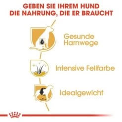 ROYAL CANIN Zwergschnauzer Adult 3kg -Zoofachgeschäft 77e331cd9fcae9ed7be9f7a8c30418a1469100cb 1e18f973f74ec6522c9cbb67634ea47bb6587bea