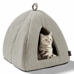 MORE Höhle Diamond 25 MORE Höhle Diamond -Zoofachgeschäft 7939acaef98cdb9195a642e4ff359691740fc0e9 84dbe0d60d2ca1e5170055a2164cc0d47aaedf72