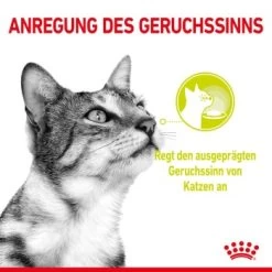 ROYAL CANIN SENSORY Smell Taste Feel Multipack In Soße 12x85g -Zoofachgeschäft 798794361bcbcbc0523585b876cea563123ad216 fb85a5371032b713470979e8014bf8e69b6f879c