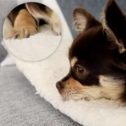 Lionto Selbstheizende Wärmematte Für Haustiere 14 Lionto Selbstheizende Wärmematte Für Haustiere -Zoofachgeschäft 7b7478322070a88393ca3a5ce3bc6fc7dc82a6ad 1665986 de DE 051d4bf94c6c9b490452613e4a20003dcd71ba8cXGeo9D