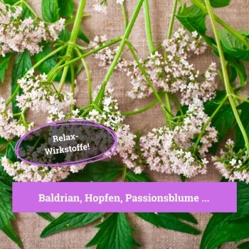 BeG Buddy Beruhigungsmittel Anti Stress 5 BeG Buddy Beruhigungsmittel Anti Stress – Bild 3